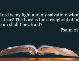 your daily bible verses psalm 271