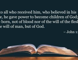 Your Daily Bible Verses — John 1:12 13