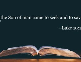 Your Daily Bible Verses — Luke 19:10