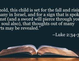 Your Daily Bible Verses — Luke 2:34 35