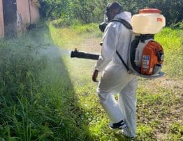 Iglesia en Puerto Rico hace un llamado a la corresponsabilidad frente a la epidemia del dengue