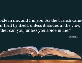 Your Daily Bible Verses — John 15:4