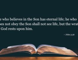 Your Daily Bible Verses — John 3:36