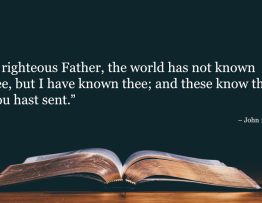 Your Daily Bible Verses — John 17:25